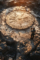 archeology-dig-site-with-ancient-remains-discoveries (1)